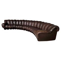 Ds-600 'Snake' Sofa in Original Leather by De Sede Switzerland, 1970s