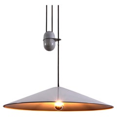 Pendant Lamp by Goffredo Reggiani Iconic 1960s whit Counterweight