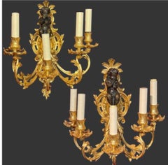 Antique A Large Pair of 19th Century French Gilt Bronze Dore Cherub Wall Sconces
