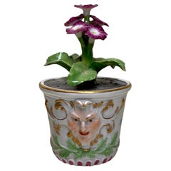 Rare Meissen Marcolini Flower Plant in a Tub circa 1780 Porcelain