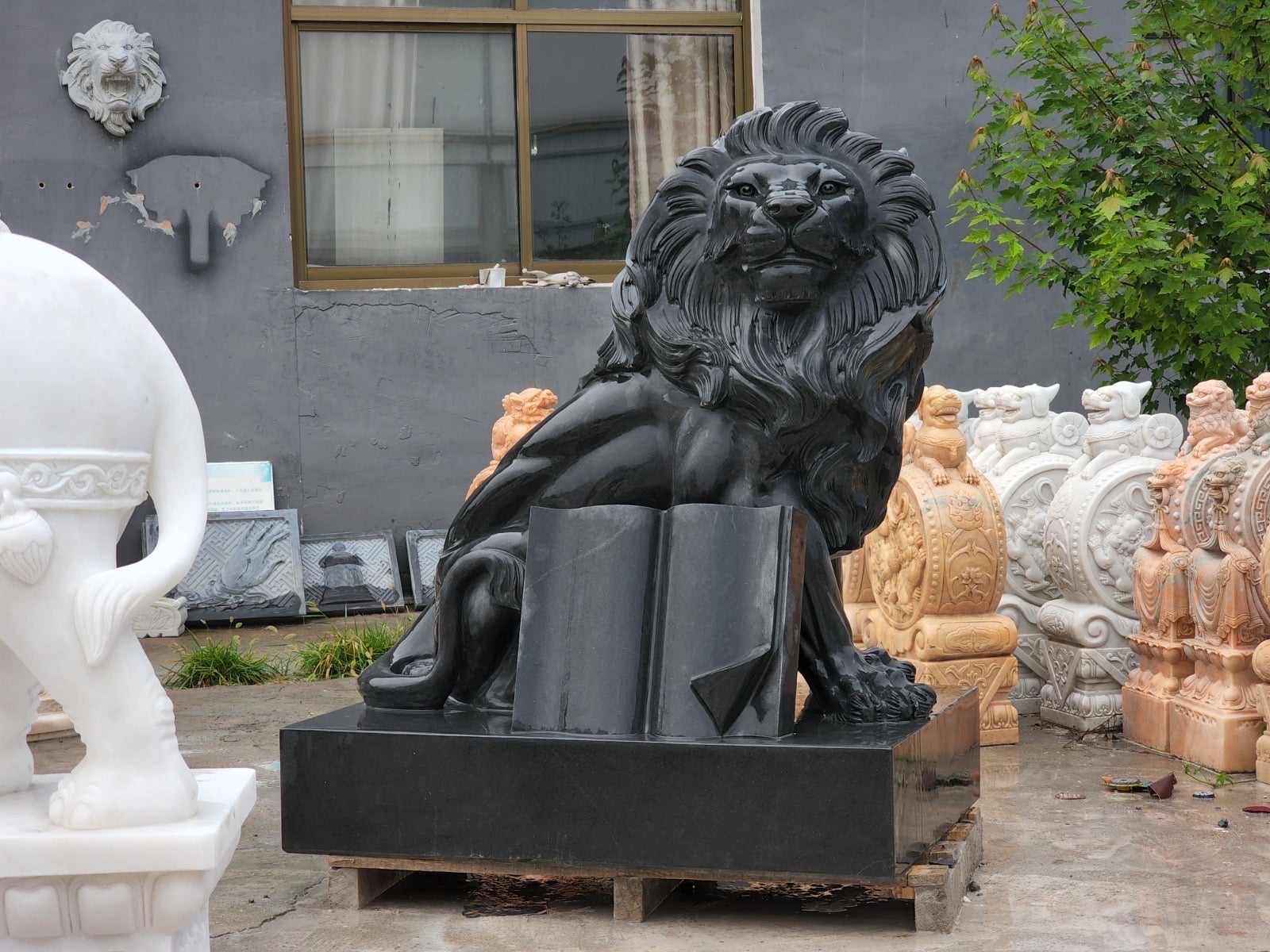 Questa straordinaria statua di leone in granito nero con un libro emana un senso di autorità e saggezza che la rende un'aggiunta perfetta a qualsiasi giardino, ingresso o biblioteca. Sapientemente scolpita in granito massiccio, la scultura mostra un