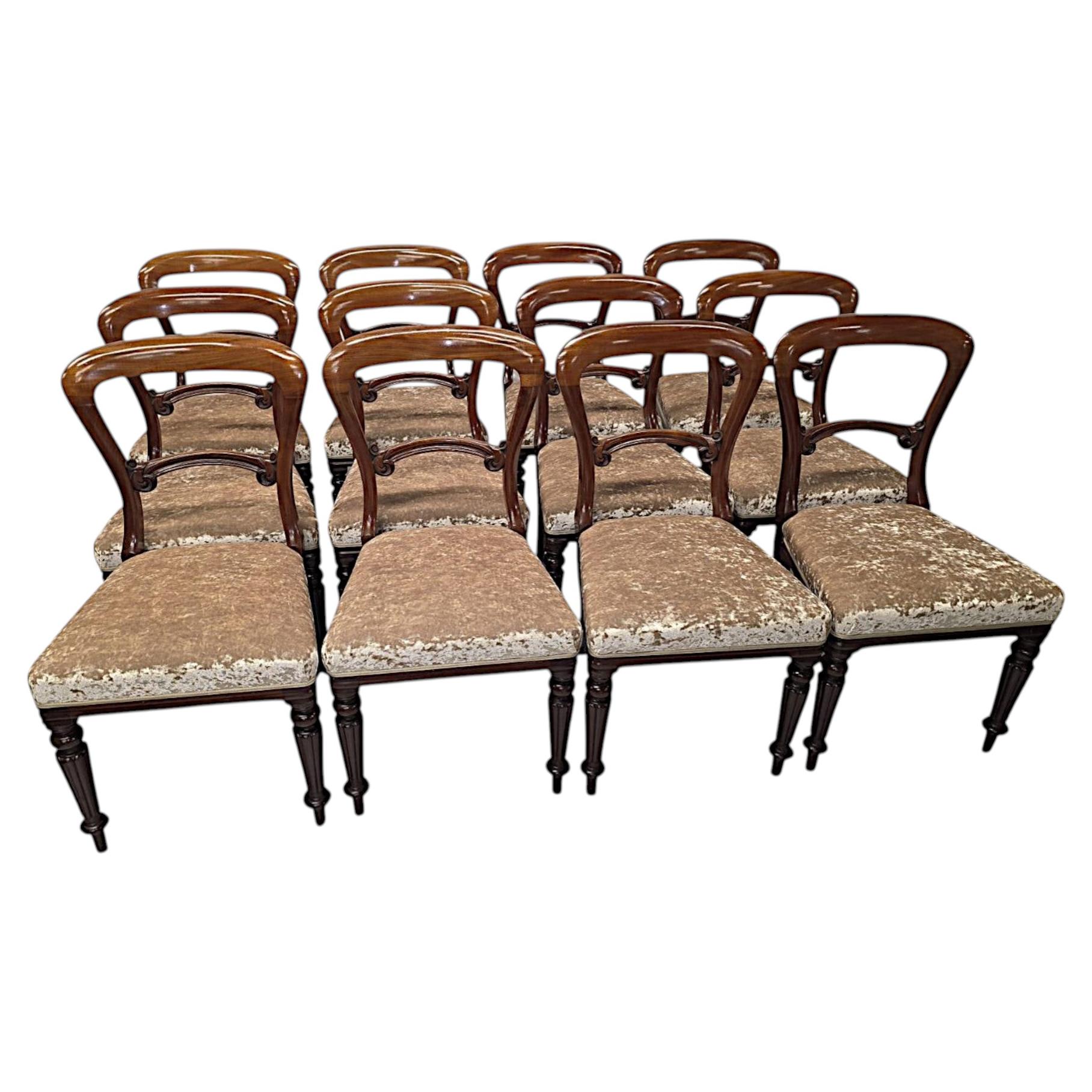 A Rare 19th Century Set of Twelve Dining Chairs Attributed to Gillows For Sale