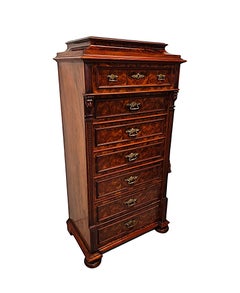 A Very Rare 19th Century Massive Wellington Style Chest of Tall Drawers