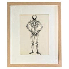 Vintage Framed Skeleton Study on Paper