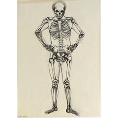 Vintage Framed Skeleton Study on Paper