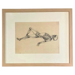 Vintage Framed Reclining Skeleton Anatomical Study on Paper