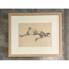 Vintage Framed Reclining Skeleton Anatomical Study on Paper