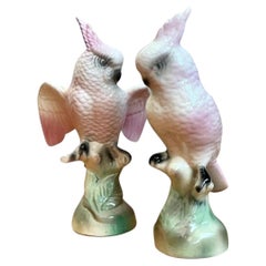 Vintage Ceramic Cockatoo Figurines - Pair