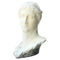 Vintage Monumental Fiberglass Roman Goddess Head Sculpture