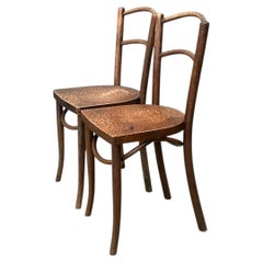 Vintage Carved Crocodile Wood Dining Chairs - A Pair