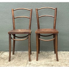 Vintage Carved Crocodile Wood Dining Chairs - A Pair
