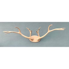 Vintage Carved Wood Antler Wall Mount