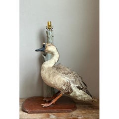Vintage Taxidermy Goose Table Lamp