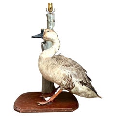 Vintage Taxidermy Goose Table Lamp