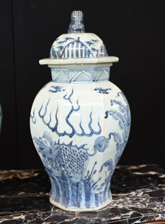 Pair Blue and White Porcelain Temple Jars Ming Foo Dogs