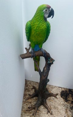 Bronze Papagei auf Barsch Statue Garten Gießen Polychrome 5 Ft