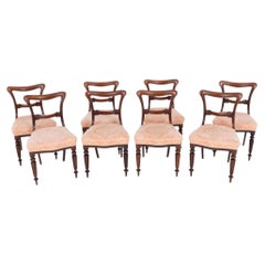 Set William IV Dining Chairs Period 19th Century