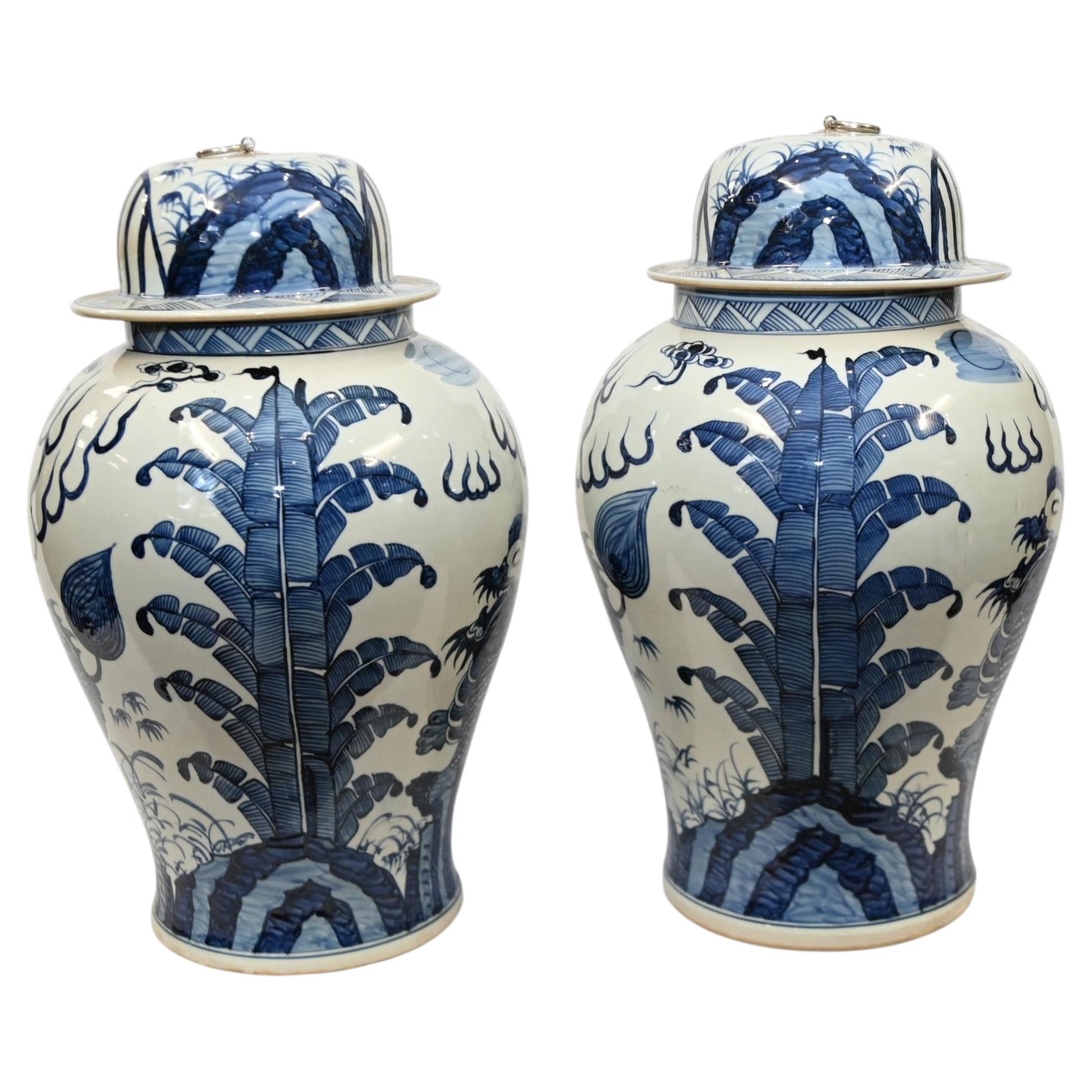Pair Chinese Blue and White Porcelain Ginger Jars Kangxi Urns