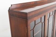 Chippendale-Beistellschrank, Mahagoni-Nachbildung mit Glasfront