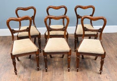 Six Victorian Mahogany Dining Chairs Balloon Back Circa 1850
