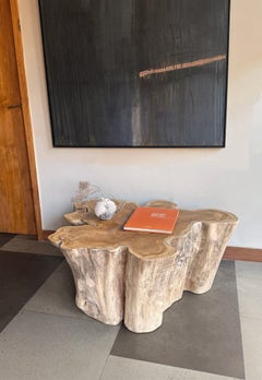 Sculptural Solid Teak Wood Sofa Table with Natural Grain & Bleached Finish