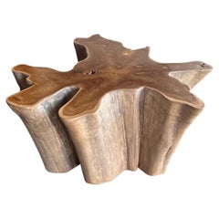 Sculptural Solid Teak Wood Sofa Table with Natural Grain & Bleached Finish
