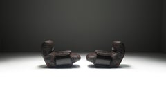 Rare Marsala lounge chair in brown black leather - Michel Ducaroy - Ligne Roset