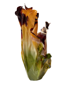 Vaso in biomateriale Iris