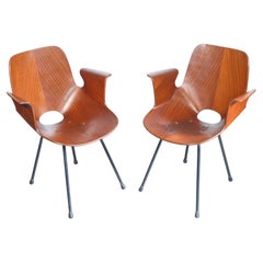 Pair of Medea chairs, designed by Vittorio NOBILI for Fr. TAGLIABUE. Italy, 50s