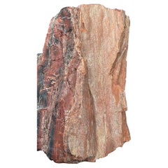 Petrified Wood Sculpture, Organic Modern Design, #2