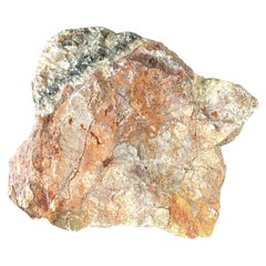 Natural Petrified Wood Specimen #4
