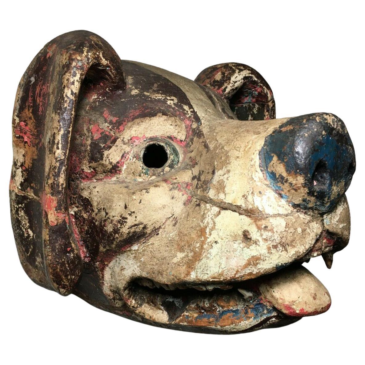 1950s, Ethnographic, Danced, Ecuadorian (Ecuador) Wooden Dog Mask w/Real Teeth! For Sale 2