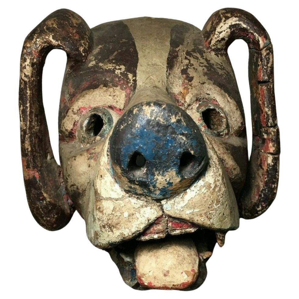 1950s, Ethnographic, Danced, Ecuadorian (Ecuador) Wooden Dog Mask w/Real Teeth! For Sale 1