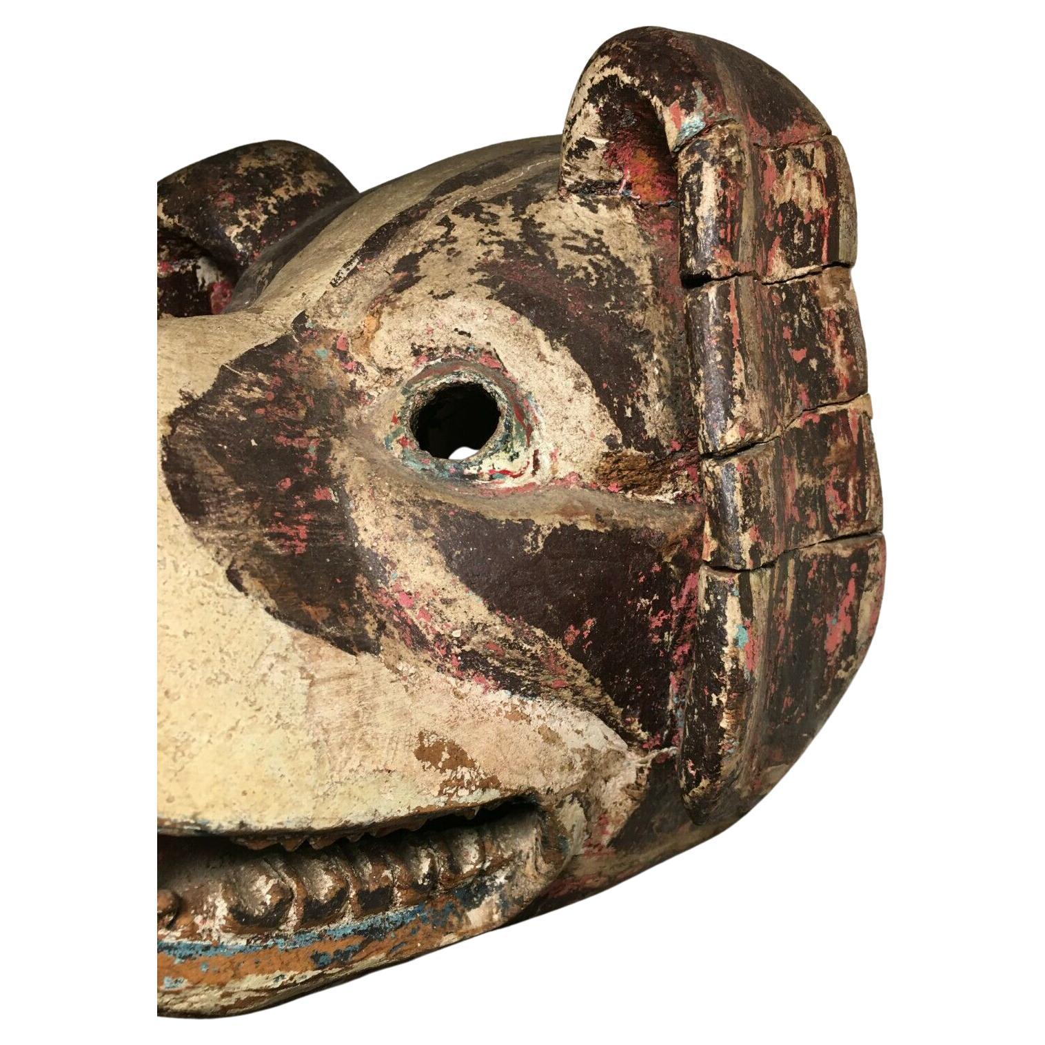 1950s, Ethnographic, Danced, Ecuadorian (Ecuador) Wooden Dog Mask w/Real Teeth! In Good Condition For Sale In Brunswick, ME