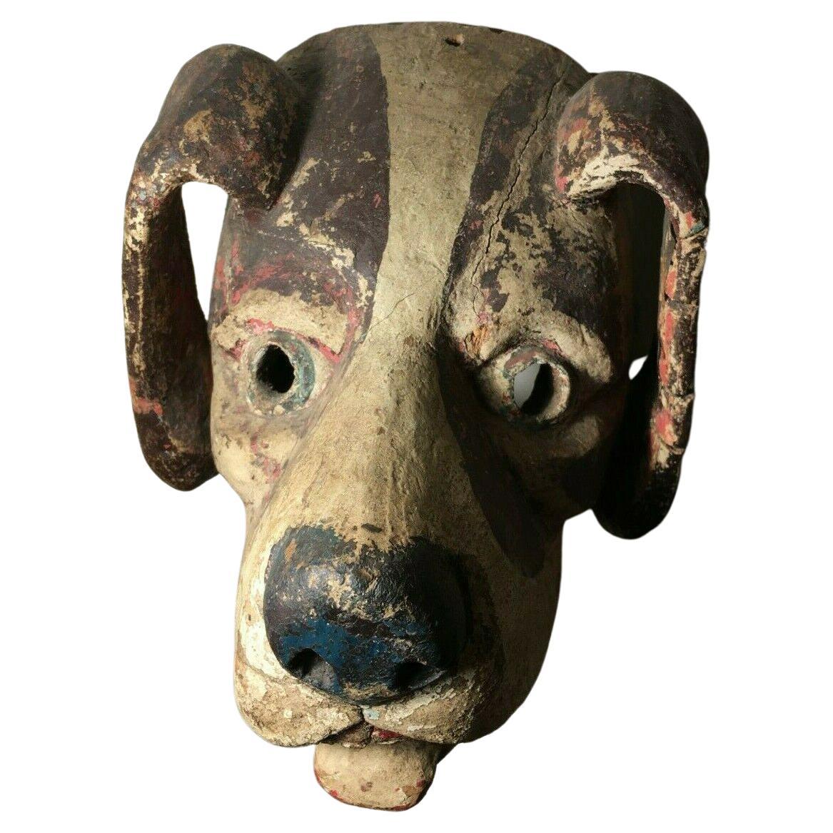 Ecuadorean 1950s, Ethnographic, Danced, Ecuadorian (Ecuador) Wooden Dog Mask w/Real Teeth! For Sale