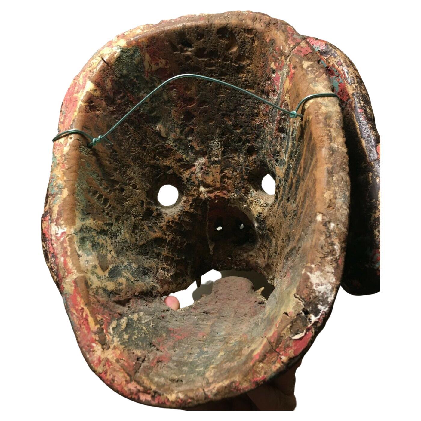 the mask dog teeth
