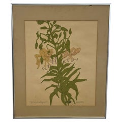 Vintage Botanical Tiger Lily Illustration by Wendy Wheeler, Signed, Framed.