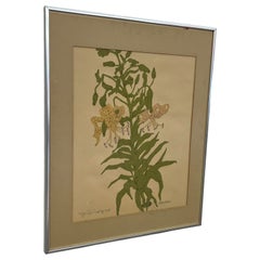 Vintage Botanical Tiger Lily Illustration by Wendy Wheeler, Signed, Framed.