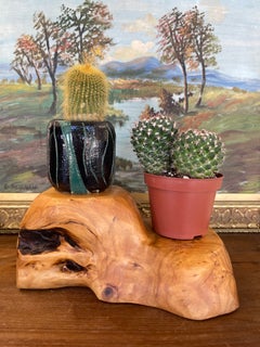 Soporte de exposición o base para escultura, tallado a mano con borde natural, probablemente de madera de nudo.