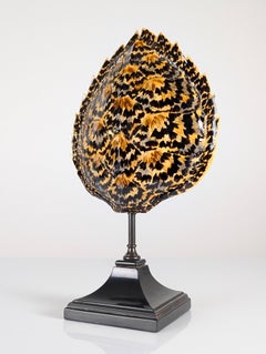 Faux Tortoiseshell Resin Turtle Shell Lamp, Maison Jansen, 1970s