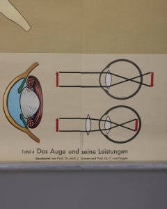 Vintage School Poster: "The Eye and Its Functions" by Lehrmittelverlag Wilhelm Hage