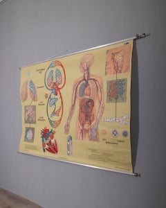 Vintage School Poster: "Breathing and Blood Circulation" by L. W. Hagemann, 1970s