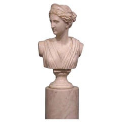 Bust of Diana the Huntress