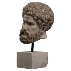 Head of Hercules in marble