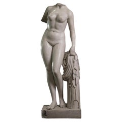 Torso of Venus in white marble