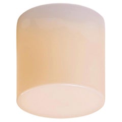 Paavo Tynell ‘80112-25’ Ceiling Lamp in White Opaline Glass, 1950s