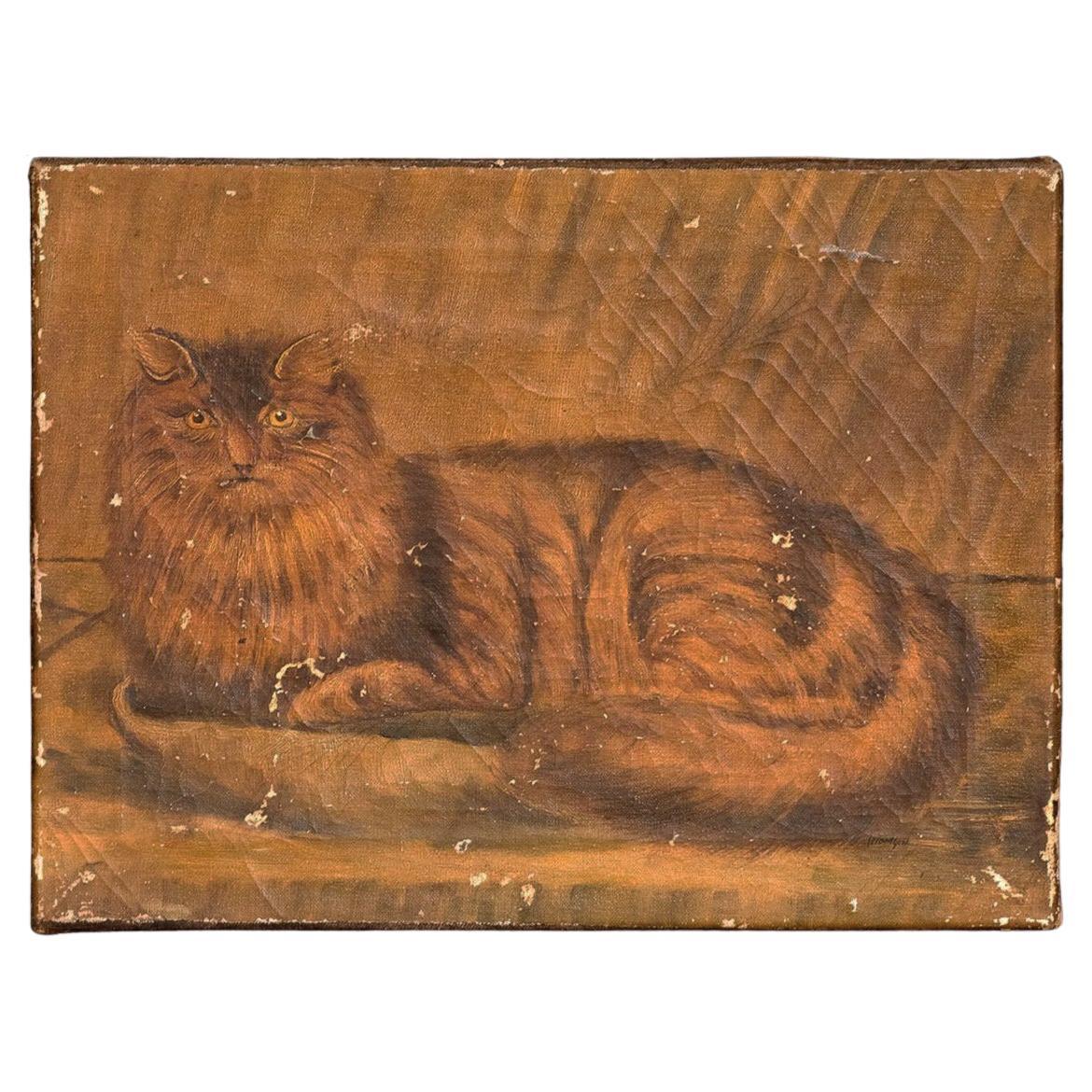 Estudio de arte popular ingenuo de un gato, óleo sobre lienzo, pintura antigua del siglo XIX