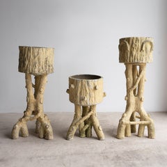 Lot de trois jardinières anciennes françaises en terre cuite imitation bois, sur socles, vers 1900
