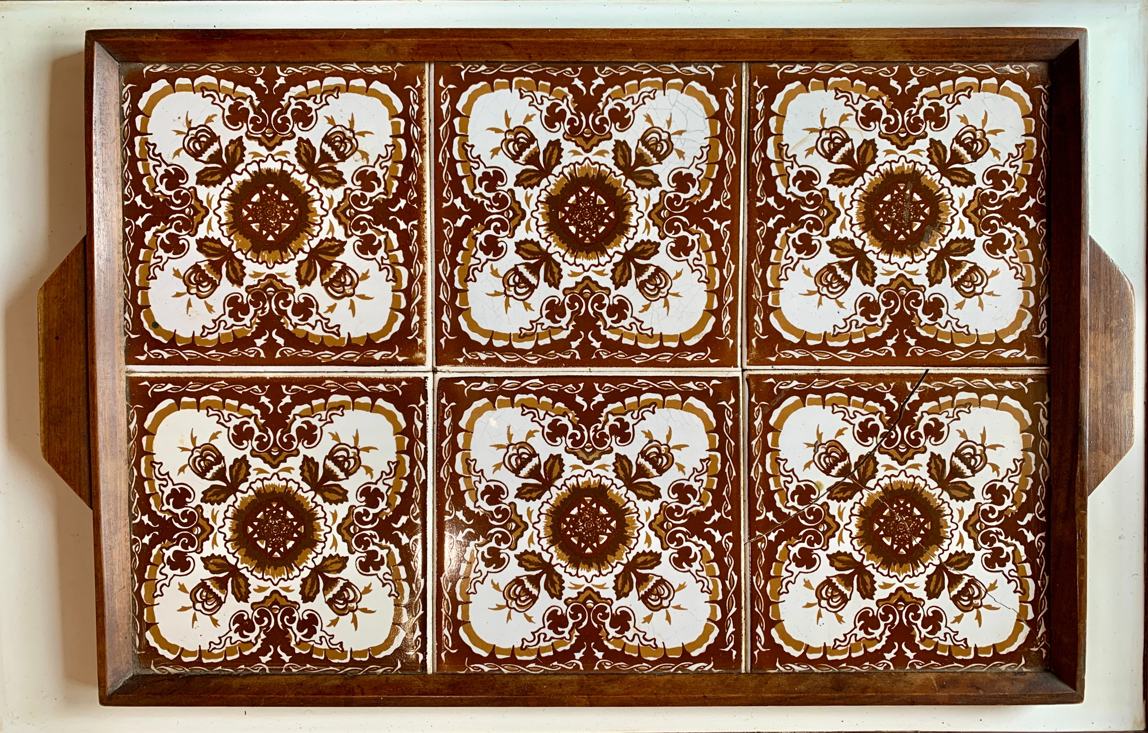 HELLORSO Plante En Bois Brésilienne Lucky Brésil En Pot, Plante En Bois Porte-bonheur Du Brésil 2024, Plantes En Bois Brésilien Porte-bonheur Avec Plateau En Céramique Pour Décoration De Bureau (vert