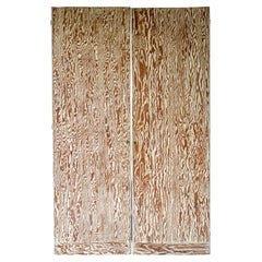 Puertas y Portones Art Decó